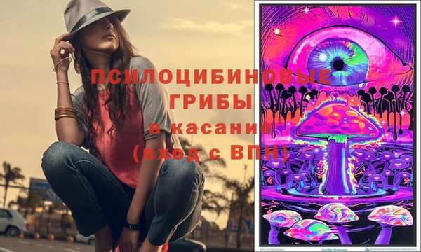 сатива Нефтегорск